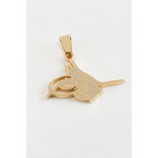 Nacario Tuğra Çelik Kolye Ucu 3 cm