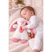 Budizzz Tavşan Uyku ve Oyun Arkadaşı | Diş Kaşıyıcılı ve Hışırtılı Tasarım