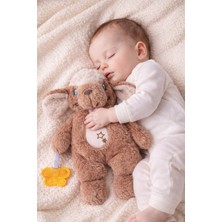 Budizzz Bebek Uyku ve Sarılma Arkadaşı | Diş Kaşıyıcılı Uyku Arkadaşı Köpek