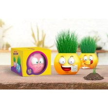 Emoji Temalı Çim Adam 6'lı Set – Çocuklar Için Eğitici ve Eğlenceli Bitki Yetiştirme Kiti