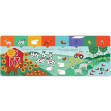 Pencereli Kitap Hayvanlar Âlemi