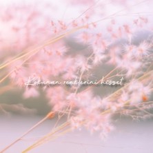 Deep Fresh Çubuklu Oda Kokusu 100 ml (Pudra)