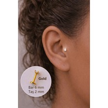 Sacce Scarves & Accessories 2 mm Tektaşlı 6 mm Çelik Piercing Gold Renkli