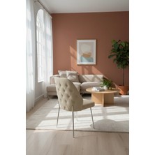 Todek Home Safir 4 Adet Metal Ayaklı Sandalye Babyface Kumaş Mutfak Salon Yemek Masası Sandalyesi