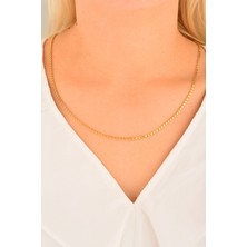 CEBECİ Cebeci 14 Ayar Arpa Zincir Altın Kolye