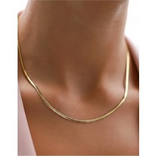 Normadia Zarif 14K Gold Kaplama 925 Ayar Gümüş Balık Sırtı Choker Kolye