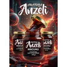 Toros 3 Kavanoz Anzeli Anatolia Ballı Karışık Bitkisel Macun Güç ve Ginsengli 3 x 245 gr Kuvvet