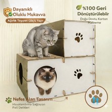 Catssle Kedi  Oyun Evi ve Tüneli Modüler 2 Katlı Karton