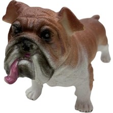 Karahanbey Köpekler - Amerikan Bulldog Cinsi Köpek - E013 (Lisinya)