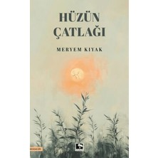 Çınaraltı Yayınları Hüzün Çatlağı