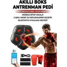 Akıllı Duvar Boks Hedefi: Bluetooth Müzikli, Işıklı Refleks ve Stres Atma