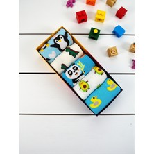 G Socks 5'li Sevimli Hayvanlar Desenli Renkli Çorap Seti