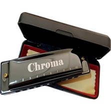 10 Delikli Profesyonel Mızıka Do (C) Renkli ve Hafif, Müzik Keyfi Için