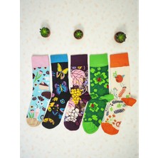 G Socks Sevimli Doğa Motifli 5'li Renkli Kadın Çorap Seti