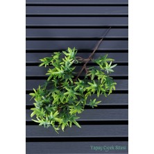 Yapay Çiçek Sitesi Yapay Bonsai Dalı Yeşil