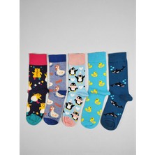 G Socks 5'li Su Hayvanları ve Hamster Desenli Renkli Çorap Seti