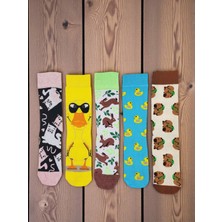 G Socks Eğlenceli Hayvanlar Desenli Renkli 5'li Çorap Seti