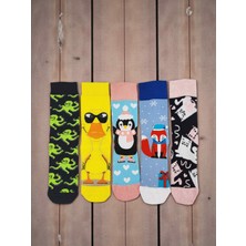G Socks 5'li Havalı Hayvanlar Desenli Renkli Çorap Seti