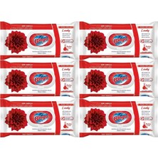 Bingo Clean Yüzey Temizlik Havlusu 96 Yaprak Sevilen Kokular Lovely - Gül (6 Lı Set) 576 Yaprak