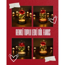 Akıllı Durak Renkli Toplu Ledli Gül Fanus