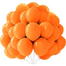 Pastel Balon 10 Adet 12 Inç