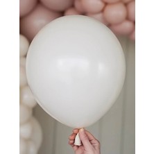 Pastel Balon 10 Lu Renk Seçenekli 12inç