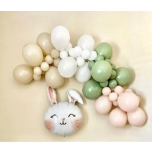 Retro Tavşan Figürlü Pembe Yeşil Beyaz Krem Renklerinde Balon Zinciri Doğum Günü Parti Süsleme Seti