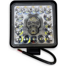 Universal Çalışma Lambası Kuru Kafa 48W 25MM 7 Renk