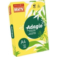 Rey Renkli Fotokopi Kağıdı Renkli Kağıt A4 80 gr Sarı - 30 Adet