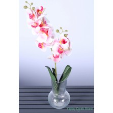 Yapay Çiçek Sitesi Yapay Yapraklı 2 Dal Islak Orkide Çiçeği Fuşya-Beyaz 55 cm