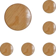 Pratik Tekerlekli Saksı ve Damacana Taşıma Altlığı Seti (6'lı)