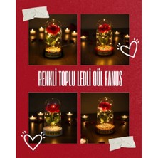 İntora Renkli Toplu Ledli Gül Fanus