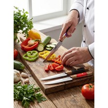 Lazoğlu Colorcut 3 Parça Sebze Bıçak Seti