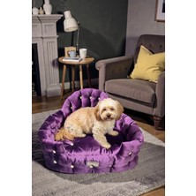 Patitex King Class Koltuk- Köpek Koltuk- Kedi Koltuk-Kedi Köpek Yatak- Yıkanabilir- Minderli