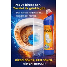 Efecto Wc Renewal Klozet Kireç ve Pas Temizleyici 750ML