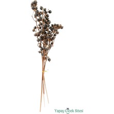Yapay Çiçek Sitesi Doğal Çiçek Kuru Böğürtlen Dalı