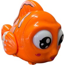 Vardem Sürtmeli Gözleri Oynayan Sevimli Memo Balık Turuncu