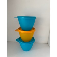 Tupperware Renkli Buzdolabı Kabı