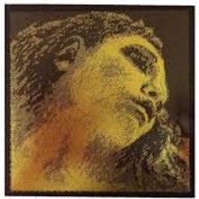 Evah Pirazzi Gold D Re Tek Keman Teli 415321, Yüksek Kalite ve Ses Güzelliği