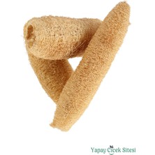 Yapay Çiçek Sitesi Doğal Tropikal Luffa Kuru Çiçek 3lü