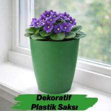 Nzb (1 Adet) Yeşil Kırılmaz Plastik Dekoratif Saksı 15CM Orkide Çiçek Bitki Için Kırılmaz Balkon Saksısı