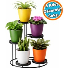 Nzb Kırılmaz Plastik Dekoratif Farklı Renkte Balkon Orkide (5 Adet) Bitki Saksı Seti Orkide Saksısı