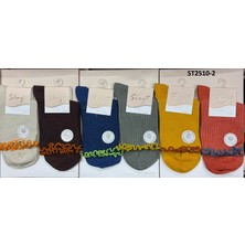 Slayt 2510 Bayan Penye Çorap