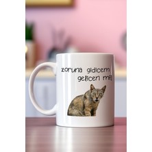 giftkonsept Gelicen Mi Komik Kedi Baskılı Hediyelik Kupa Bardak