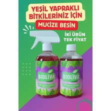 yeşil vadi yeşil yapraklı mucize bitki besini 500ml 2 ürün tek 