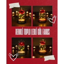 Twin Store Renkli Toplu Ledli Gül Fanus