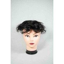 Number Onehair Los Angeles 6*91B