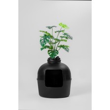 UltraMint Şık ve Kullanışlı Kedi Tuvaleti, Ev Dekorunu Tamamlar