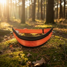 Seçkin Bel Tıpı Emnıyet Kemerı