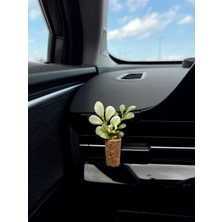 Normadia Şık Tasarım Mini Oto Kokusu, El Yapımı Mantar Saksı ve Klima Süsü